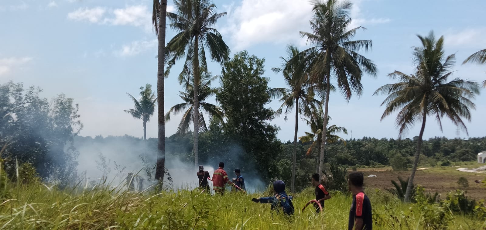 Kesigapan Dinas Damkar dan Penyelamatan dalam pemadaman Kebakaran Lahan Tegul Laksmana Kecamatan Bunguran Timur