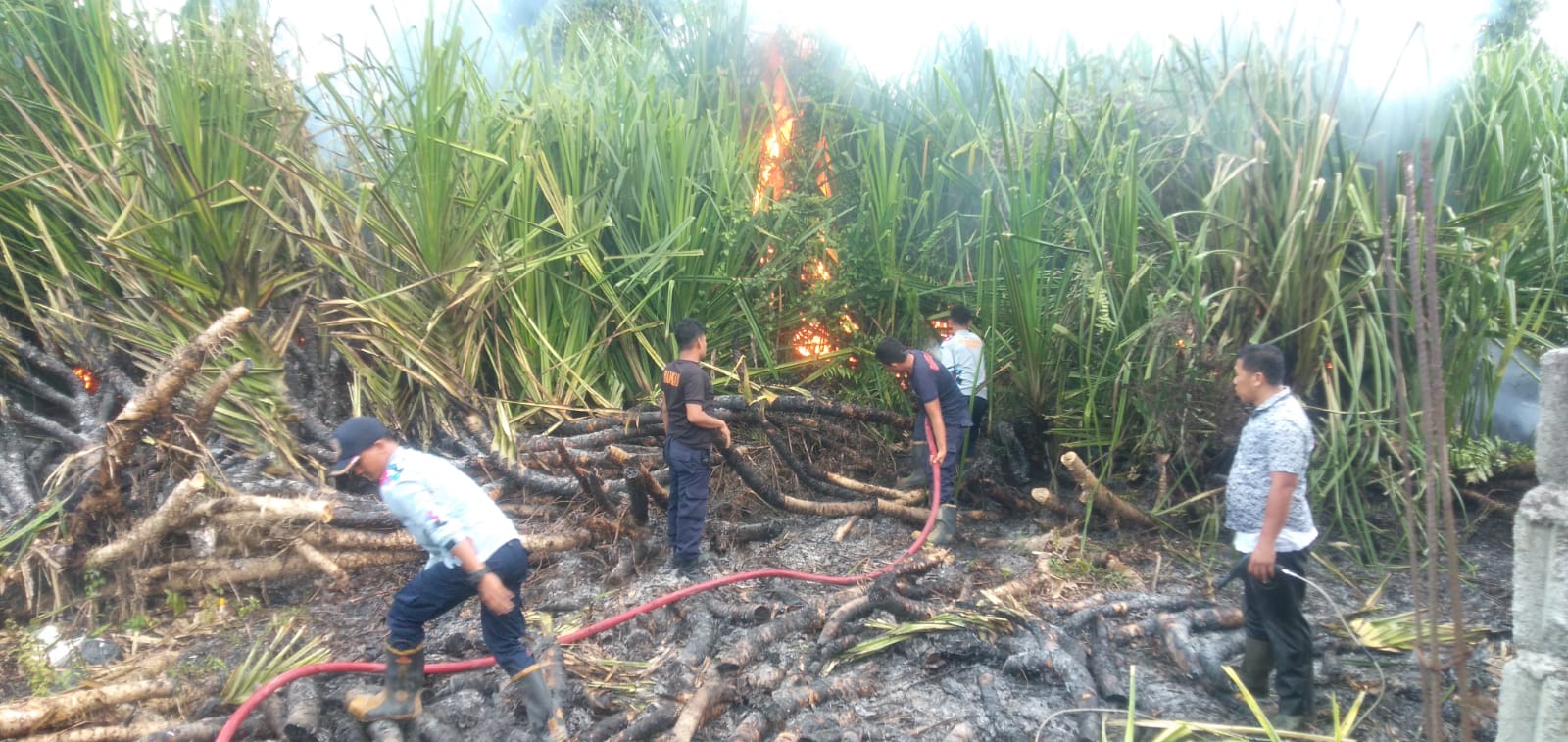 Kesigapan Dinas Damkar dan Penyelamatan dalam Penanggulangan Kebakaran Lahan di Air Lakon Kecamatan Bunguran Timur Kabupaten Natuna