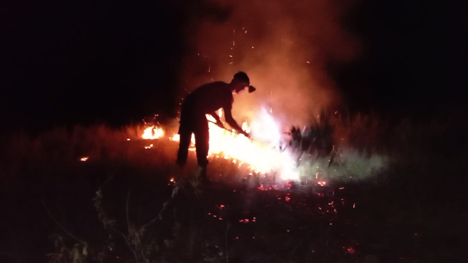 Kebakaran Lahan Milik Pemerintah Daerah di Senubing Kecamatan Bunguran Timur Kabupaten Natuna