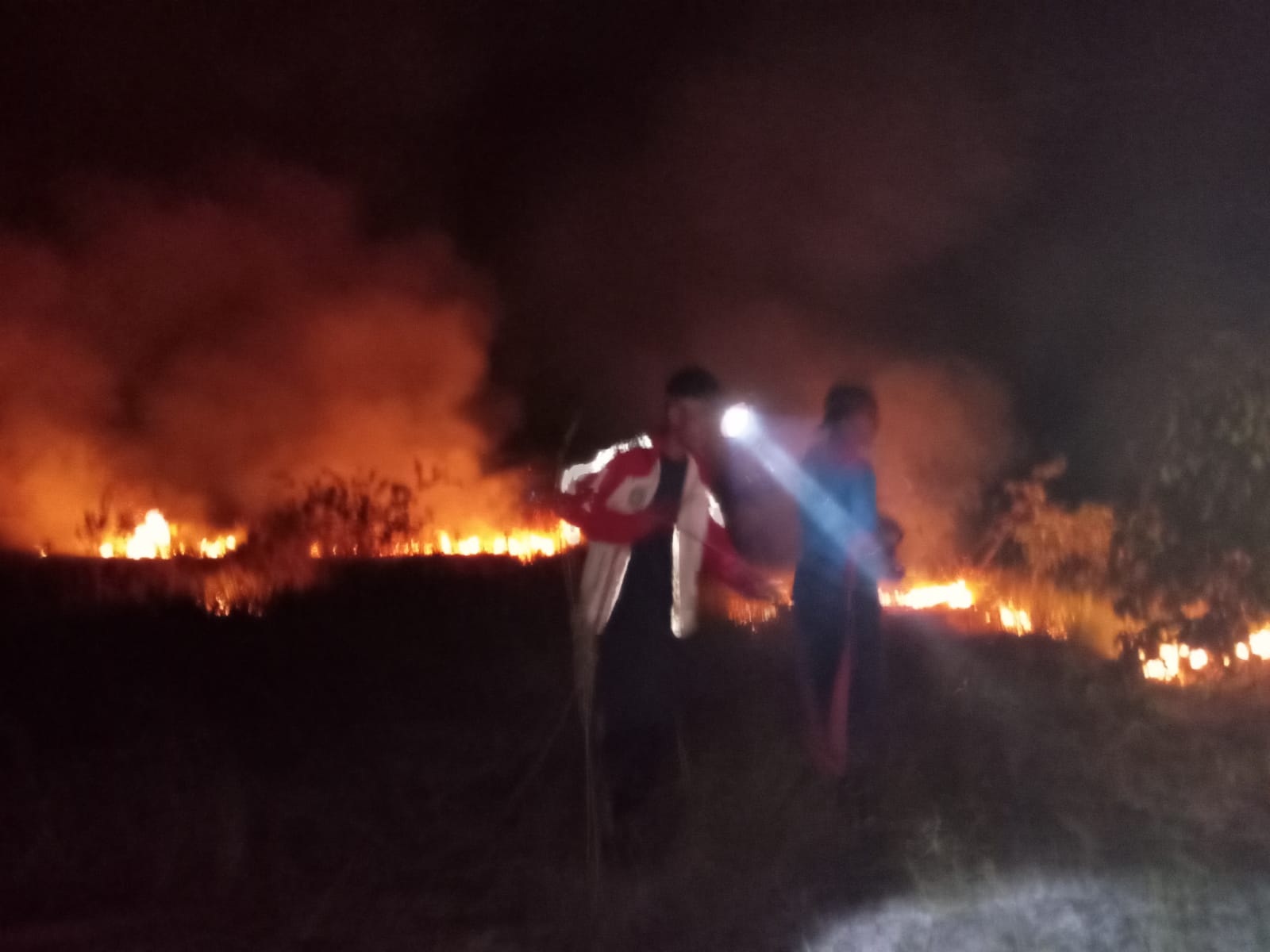 Kesigapan Dinas Pemadam Kebakaran dan Penyelamatan pada Kebakaran Lahan di Penarik Kecamatan Bunguran Selatan Kabupaten Natuna