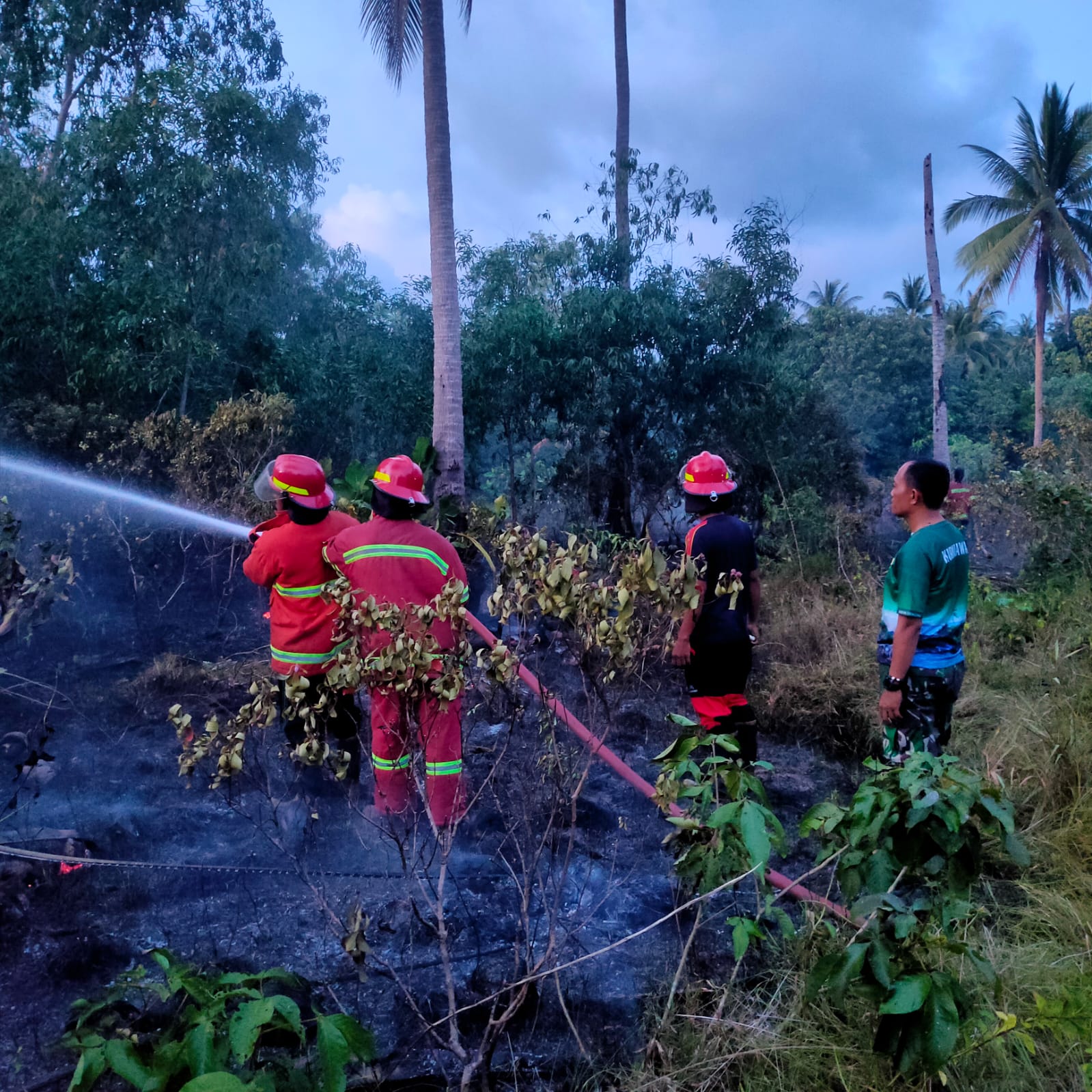 KEBAKARAN LAHAN DI CEMAGA