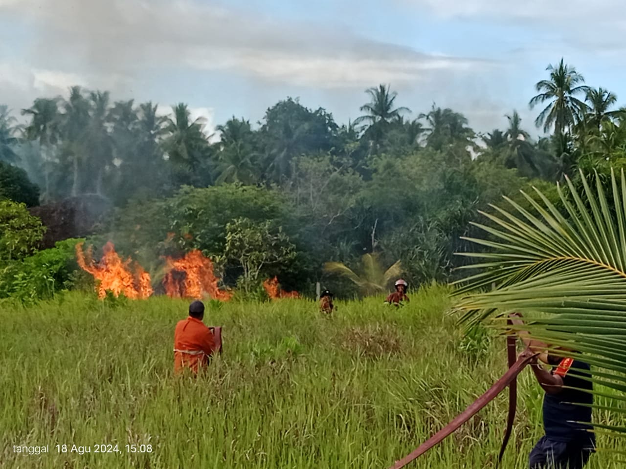 KEBAKARAN LAHAN DI CEMAGA