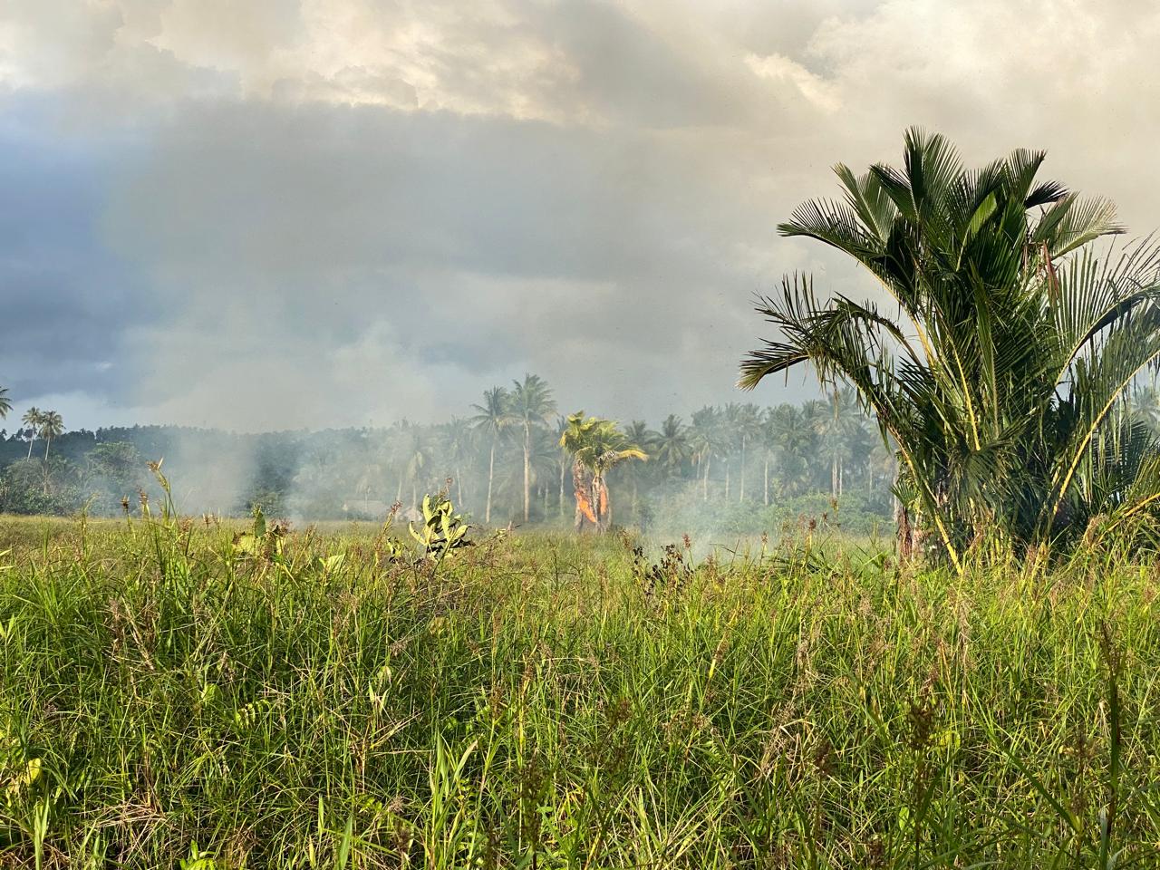 KEBAKARAN LAHAN DI MASJID AGUNG NATUNA