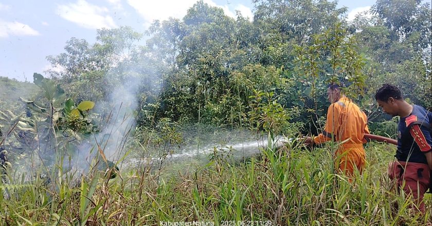 TELAH TERJADI KEBAKARAN LAHAN DI SP2 RANAI