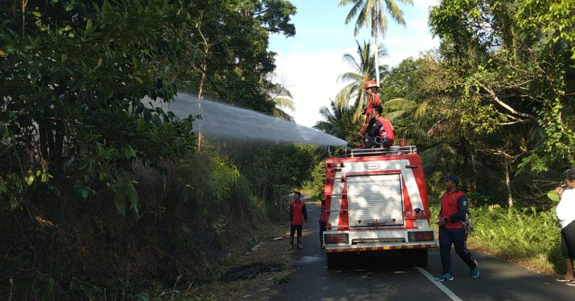 KEBAKARAN LAHAN DI RANAI DARAT NATUNA