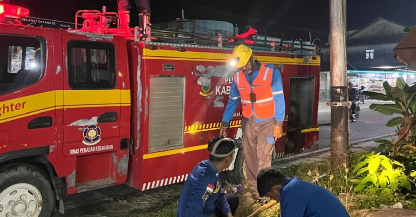 EVAKUASI SARANG TAWON NATUNA