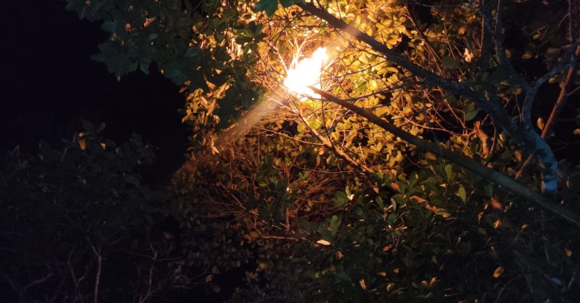 EVAKUASI SARANG TAWON DI AIR LAKON NATUNA