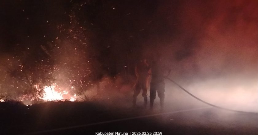 KEBAKARAN LAHAN DI SENUBING NATUNA