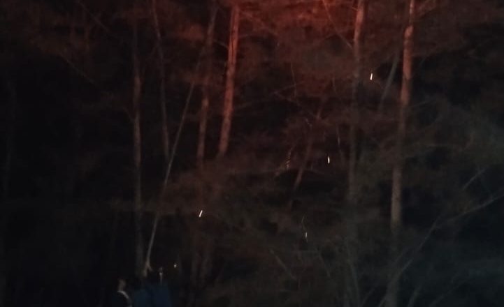 EVAKUASI SARANG TAWON DI LANUD NATUNA