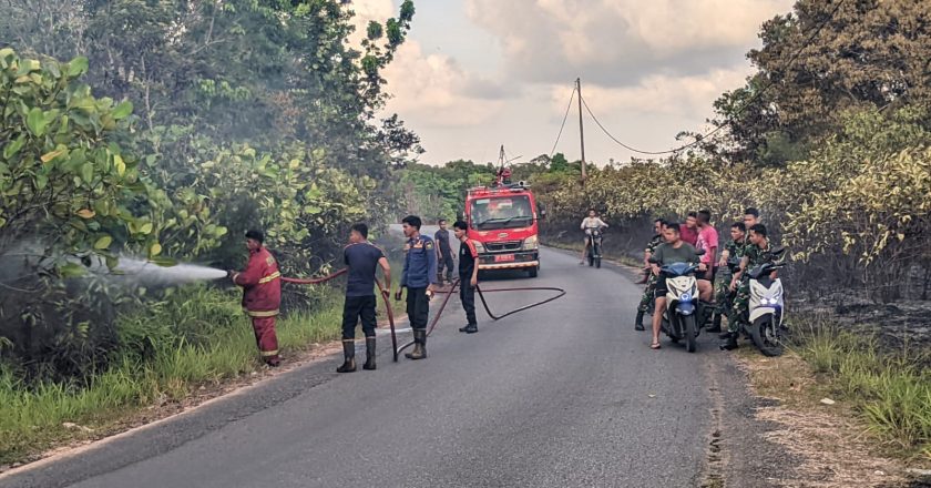 KEBAKARAN LAHAN DI BATU SISIR NATUNA