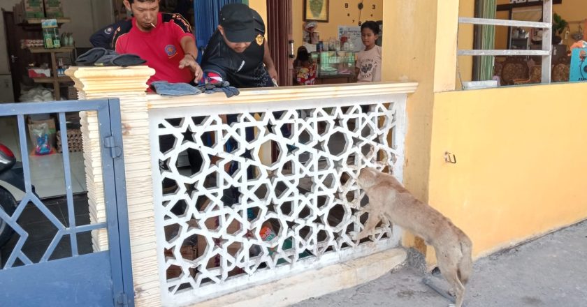 EVAKUASI ANJING TERSANGKUT DI PAGAR CERUK NATUNA