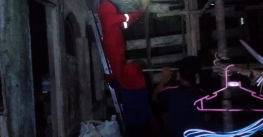 EVAKUASI SARANG TAWON DI BATU HITAM NATUNA