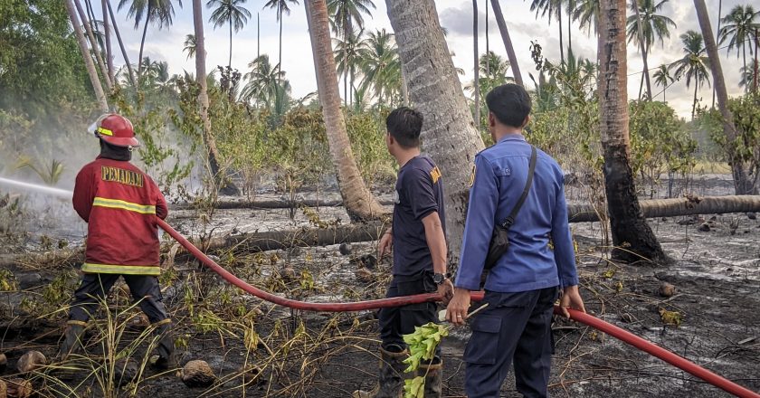 KEBAKARAN LAHAN DI CEMAGA TENGAH NATUNA