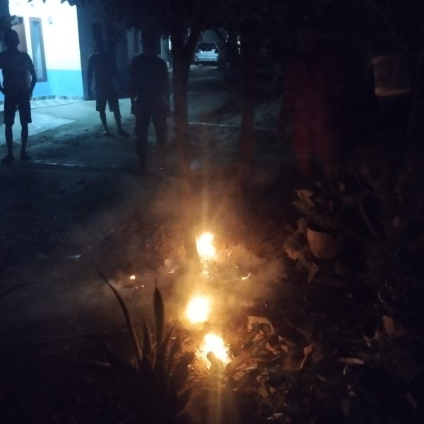 EVAKUASI SARANG TAWON DI RANAI DARAT NATUNA