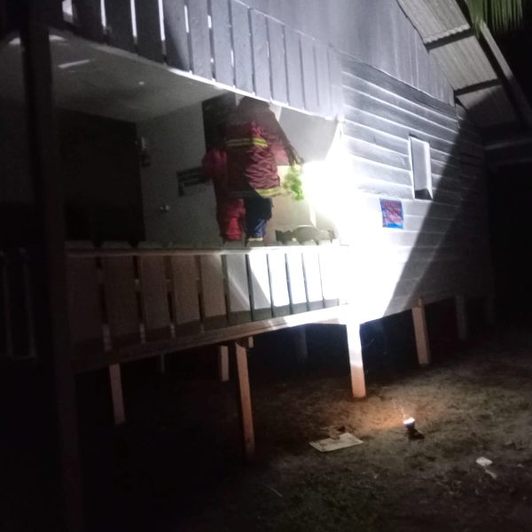 PEMBASMIAN SARANG MADU DI CEMAGA NATUNA