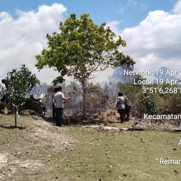 KEBAKARAN LAHAN DI BINJAI NATUNA
