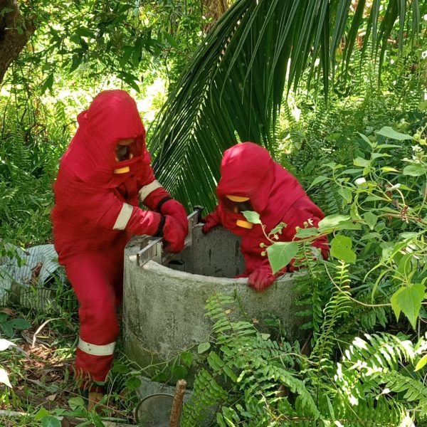 EVAKUASI SARANG MADU DI BERINGIN JAYA NATUNA