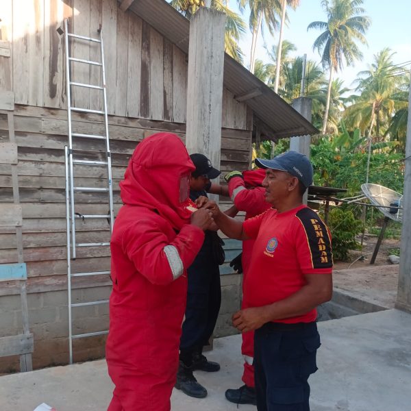 EVAKUASI SARANG MADU DI KELANGA NATUNA