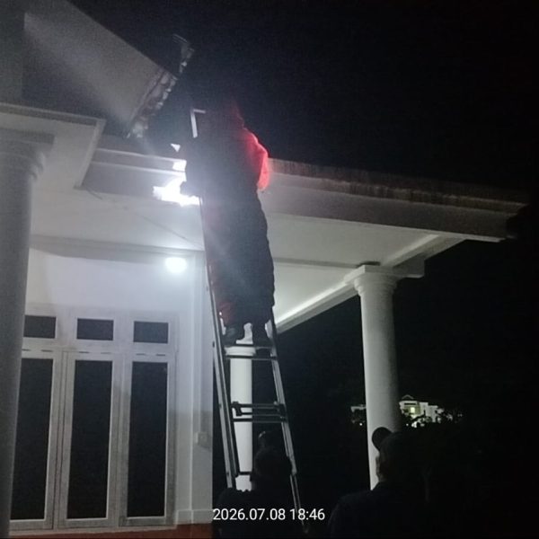 EVAKUSI SARANG TAWON DI BUKIT ARAI NATUNA