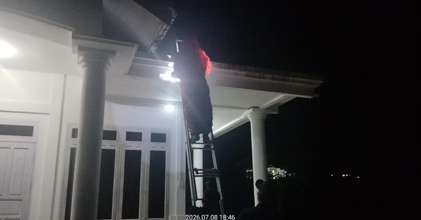 EVAKUSI SARANG TAWON DI BUKIT ARAI NATUNA