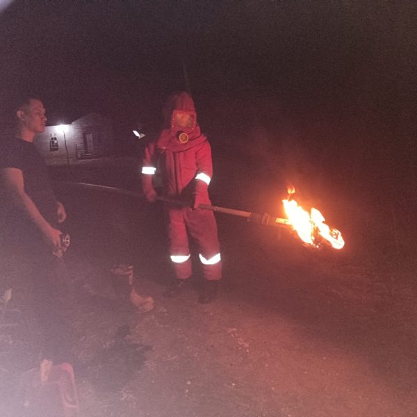 EVAKUSI SARANG TAWON DI SUNGAI ULU  NATUNA
