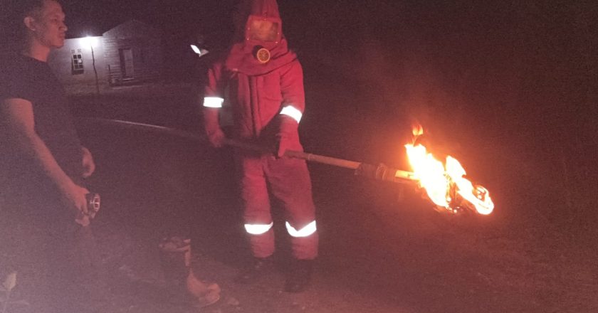 EVAKUSI SARANG TAWON DI SUNGAI ULU  NATUNA