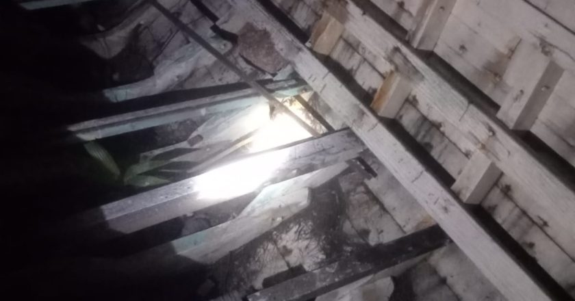 EVAKUASI SARANG TAWON DI KELANGA NATUNA