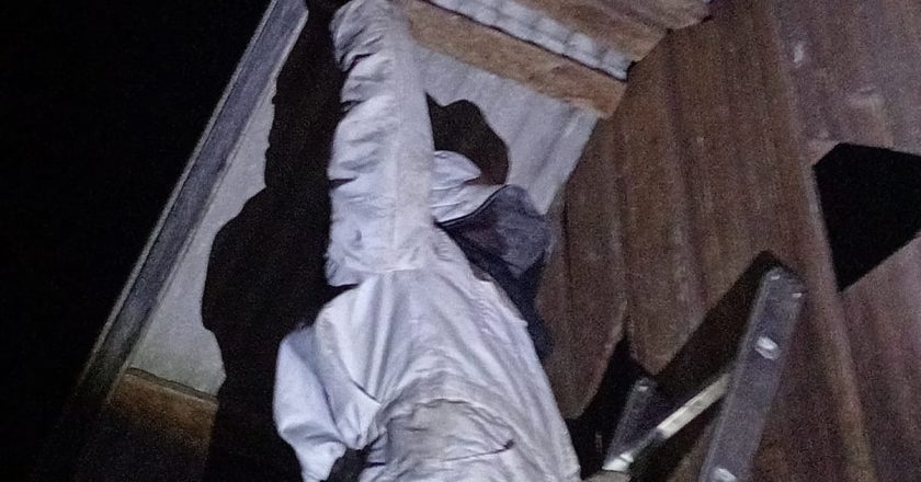 EVAKUASI SARANG TAWON DI RANAI DARAT NATUNA
