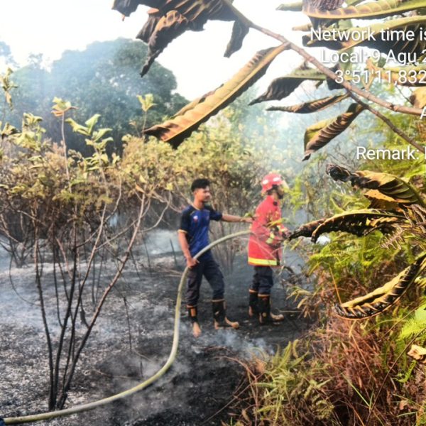 KEBAKARAN LAHAN DI BATUBI NATUNA