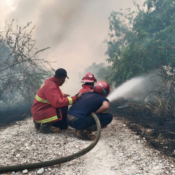 KEBAKARAN LAHAN DI CEMAGA NATUNA