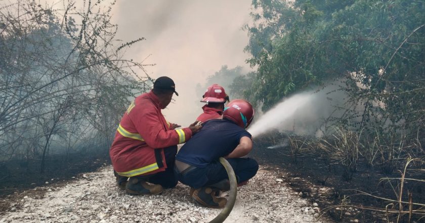 KEBAKARAN LAHAN DI CEMAGA NATUNA