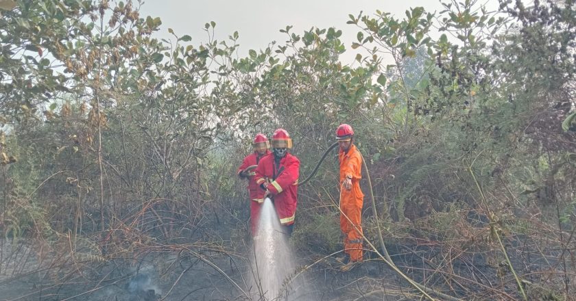 KEBAKARAN LAHAN DI SP 1 NATUNA