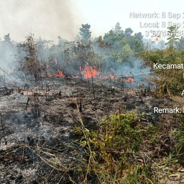 KEBAKARAN LAHAN DI BATUBI NATUNA