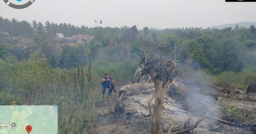KEBAKARAN LAHAN DI PUAK NATUNA